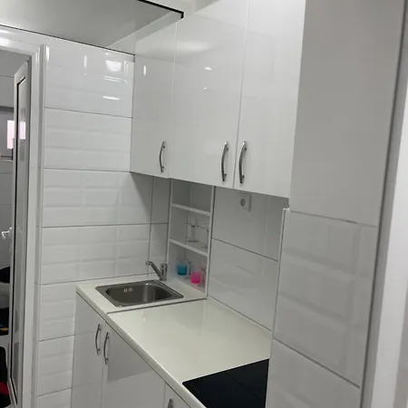 Delux Gogica * Loznica