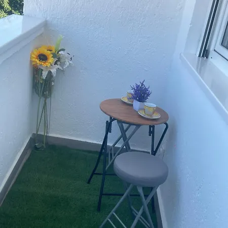 Delux Gogica Apartament