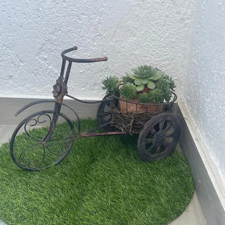 Apartament Delux Gogica