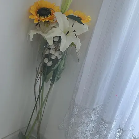 Delux Gogica Apartament *