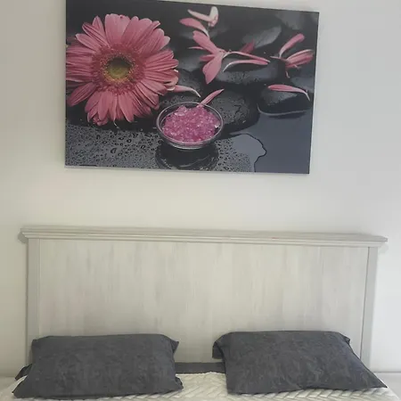 Delux Gogica Apartament